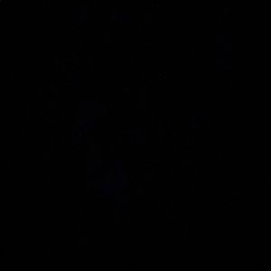 Meet your Posher, Logan